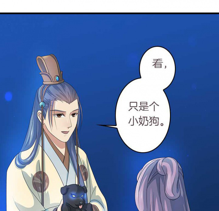 朕的老婆们全挂了漫画,第22章：刀下留狗4图