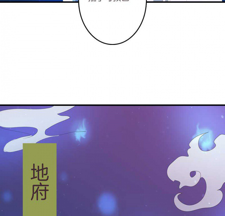 朕的老婆们全挂了漫画,第13章：一式两份2图