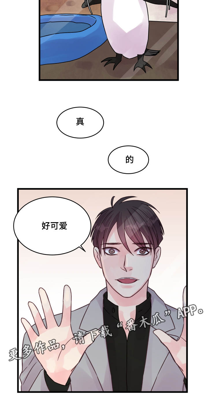 虚情校园漫画,第68章：企鹅1图