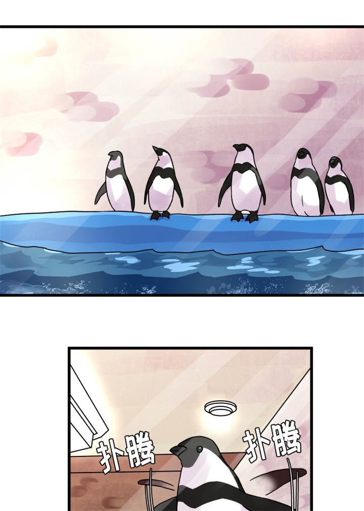 虚情校园漫画,第68章：企鹅5图