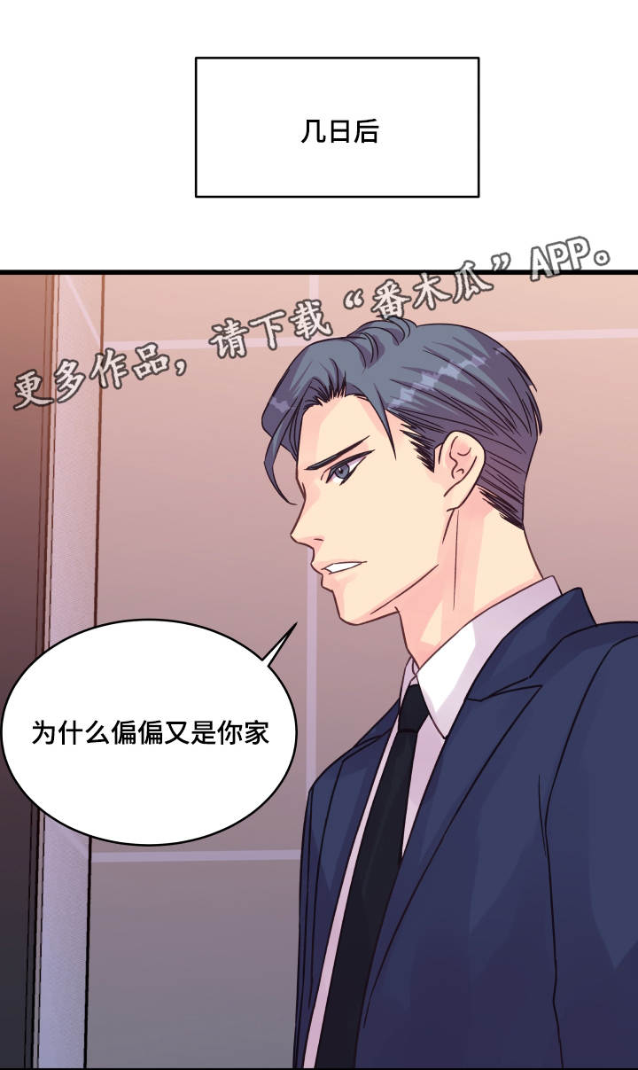 虚情校园漫画,第70章：孽缘2图