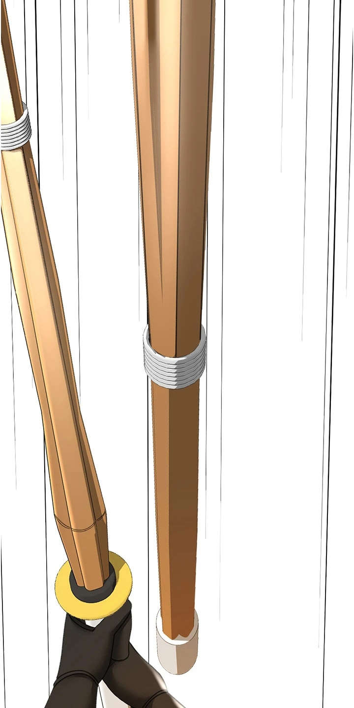 剑道奥义漫画,第8章：气鼓鼓5图