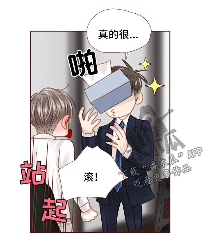 轻狂年少漫画,第35章：办公室5图