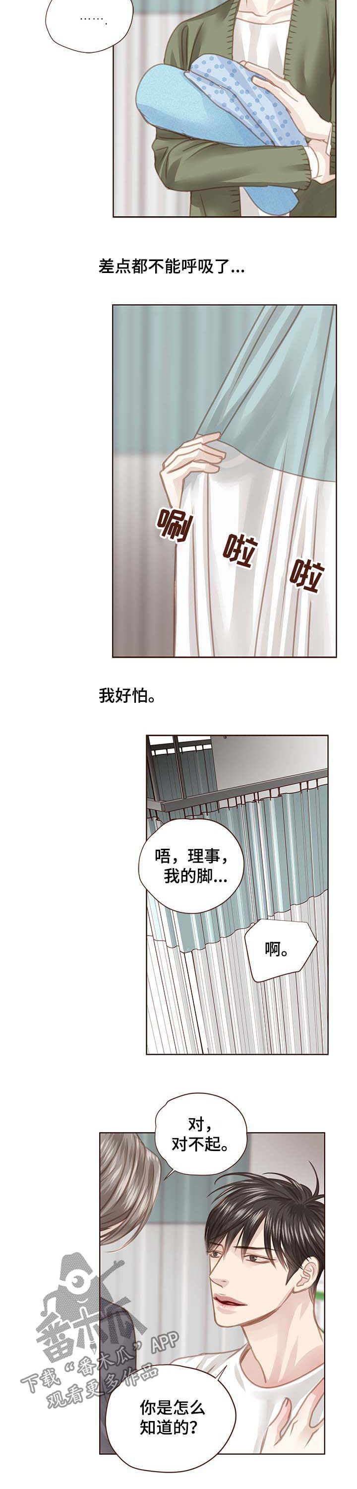 轻狂年少漫画,第92章：调查结果2图