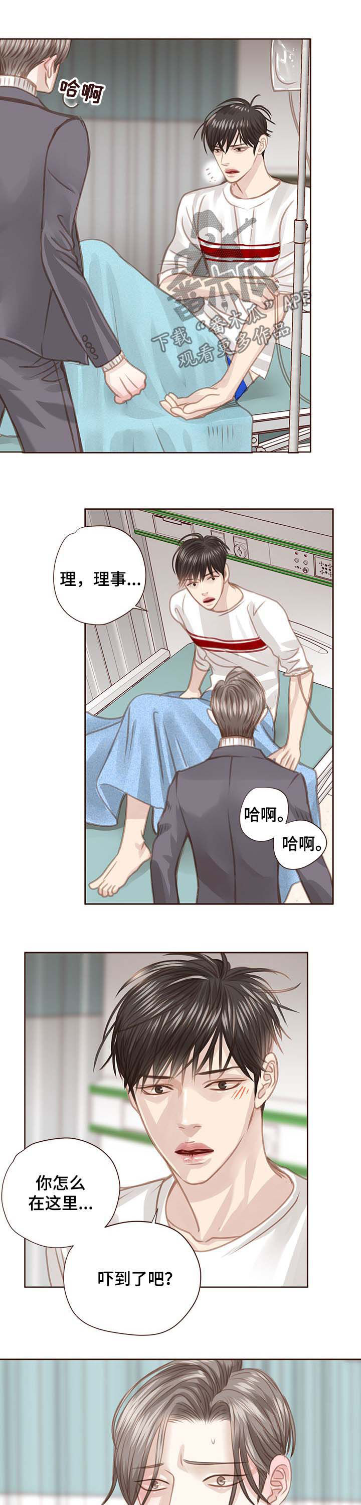 轻狂年少漫画,第92章：调查结果3图