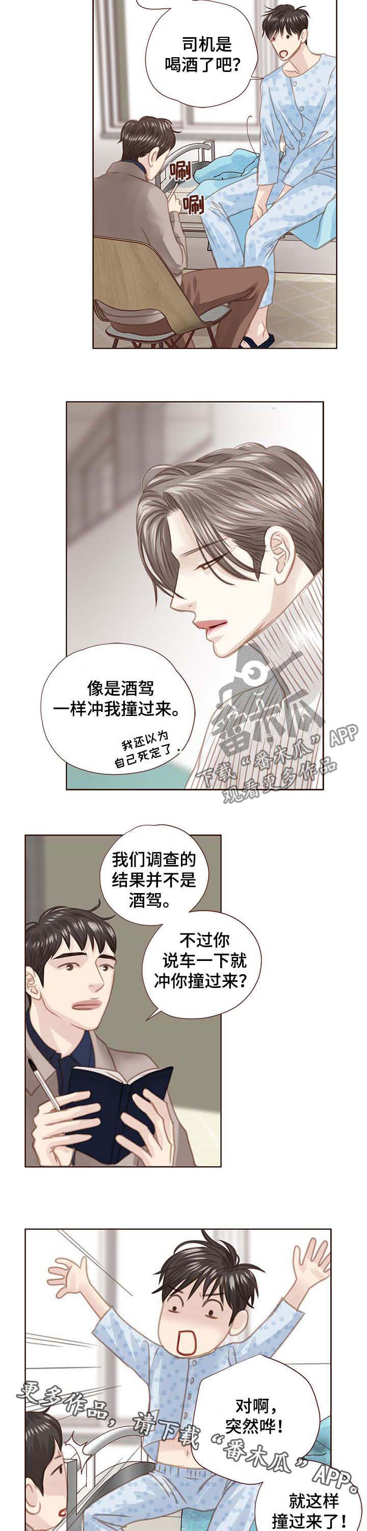 轻狂年少漫画,第92章：调查结果5图
