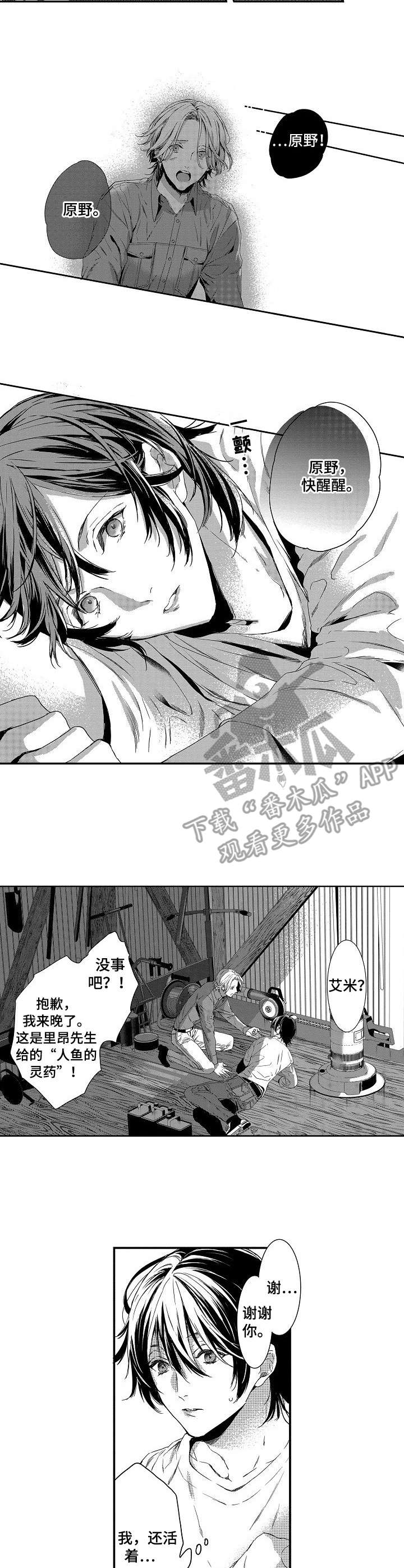 海岛传说漫画,第22章：救援3图