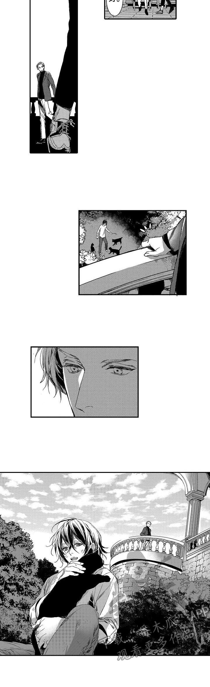 海岛传说漫画,第15章：请求2图