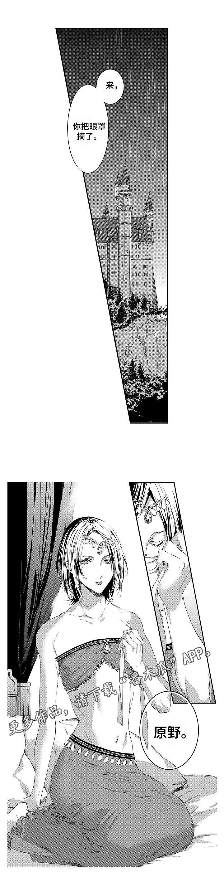 海岛传说漫画,第5章：美貌4图