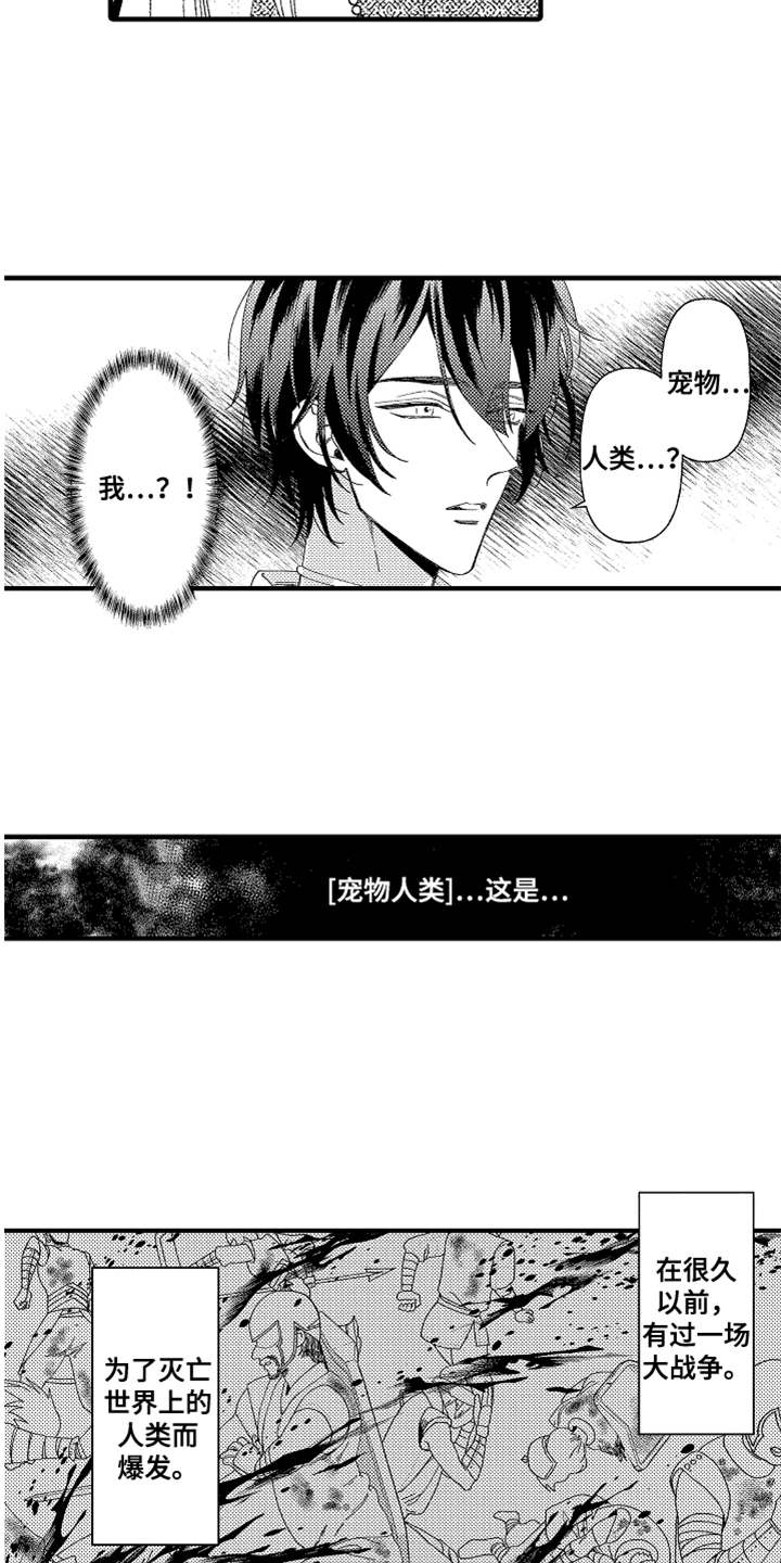 神兽宠儿漫画,第2章：宠物2图