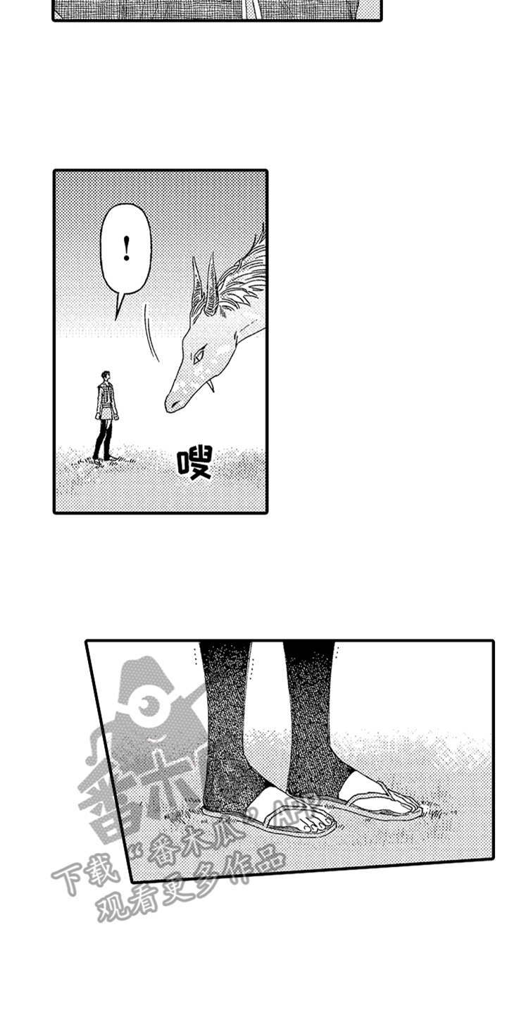 神兽宠儿漫画,第10章：太美了5图