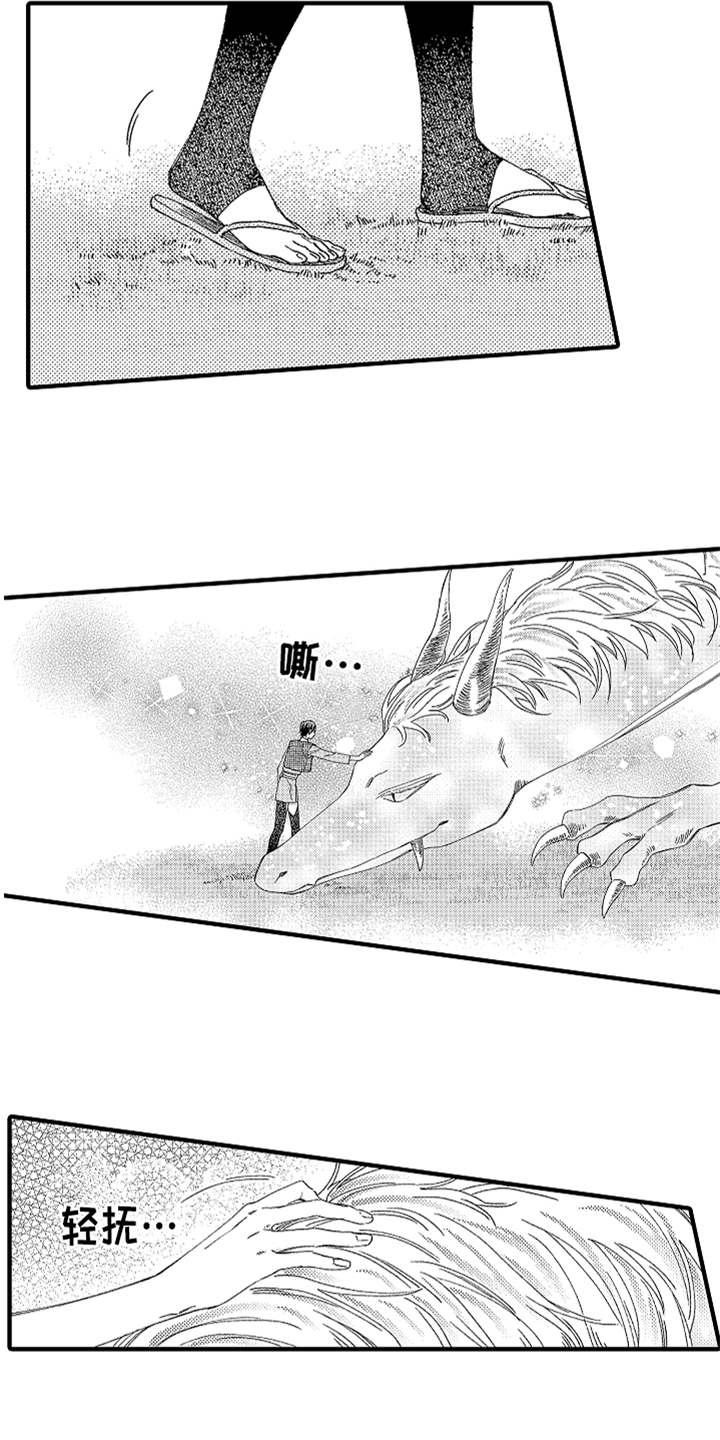神兽宠儿漫画,第10章：太美了1图