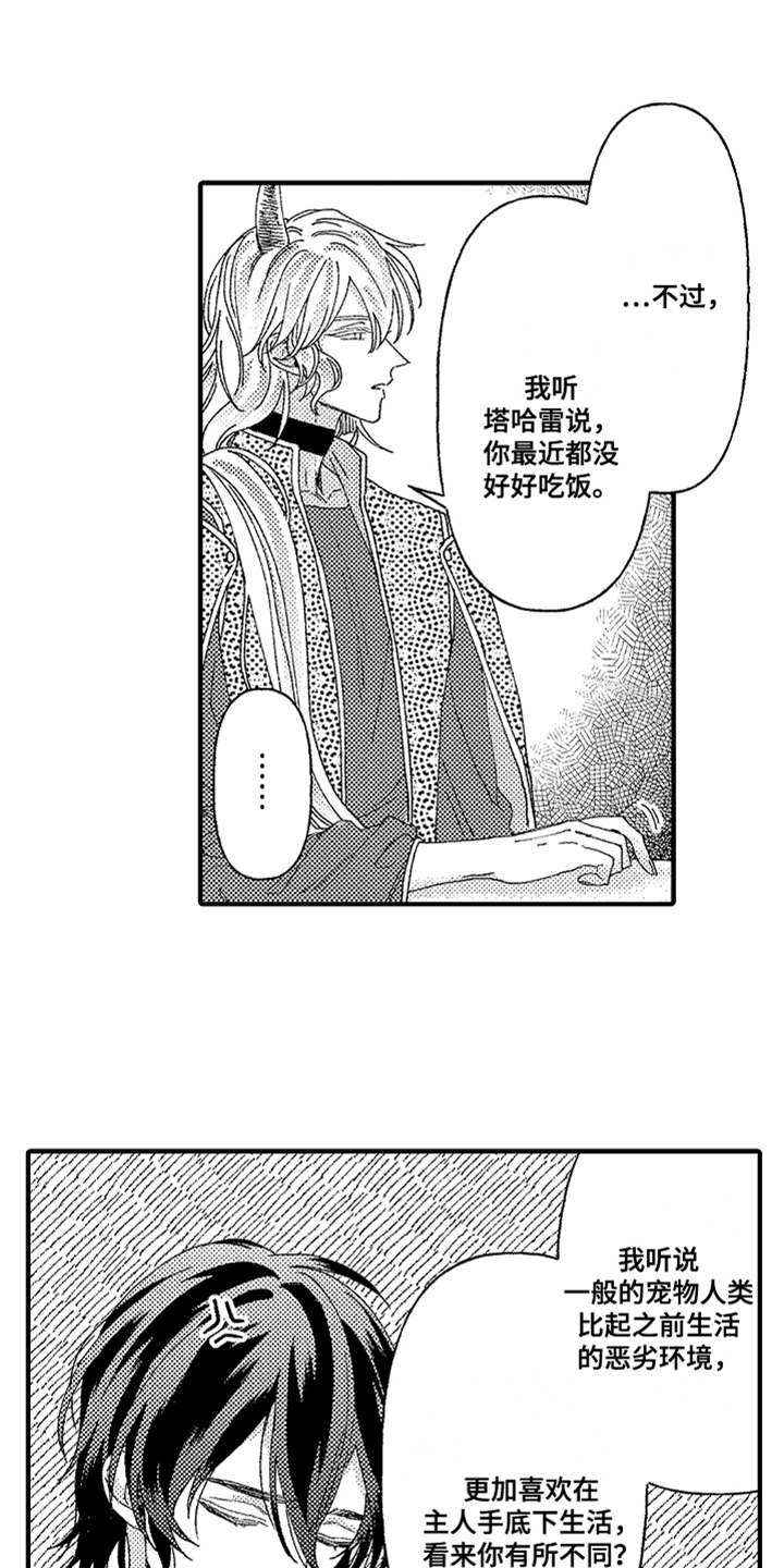 神兽宠儿漫画,第6章：返乡1图