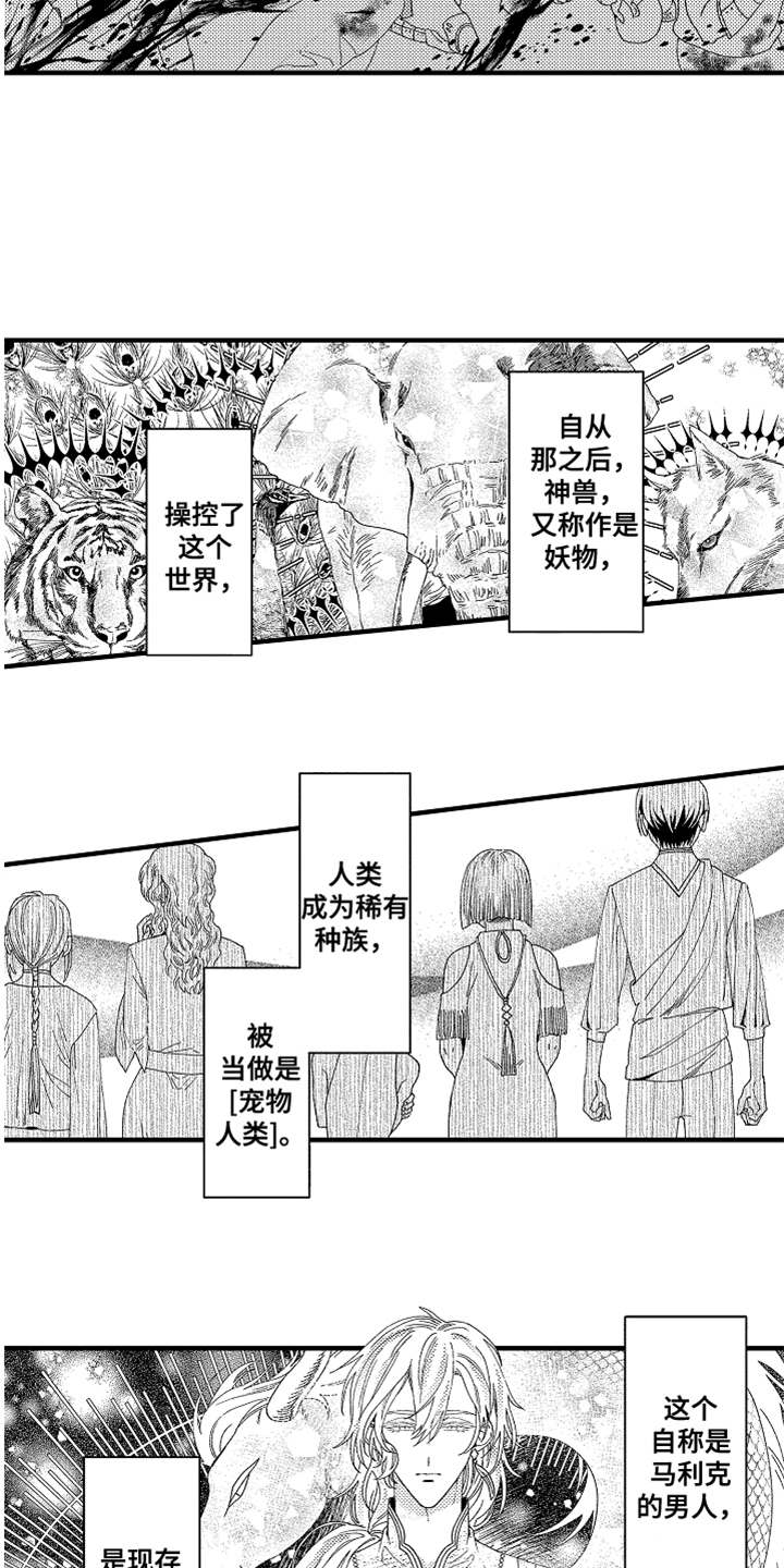神兽宠儿漫画,第2章：宠物3图