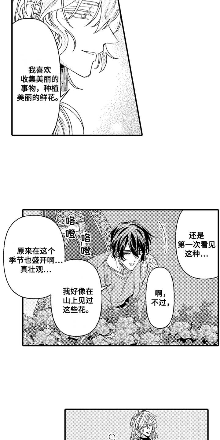 神兽宠儿漫画,第5章：花园5图