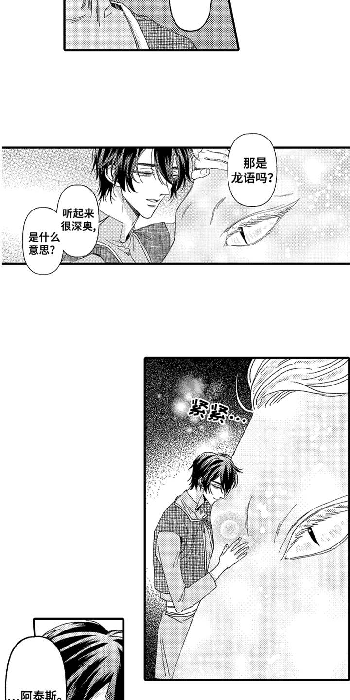 神兽宠儿漫画,第10章：太美了3图