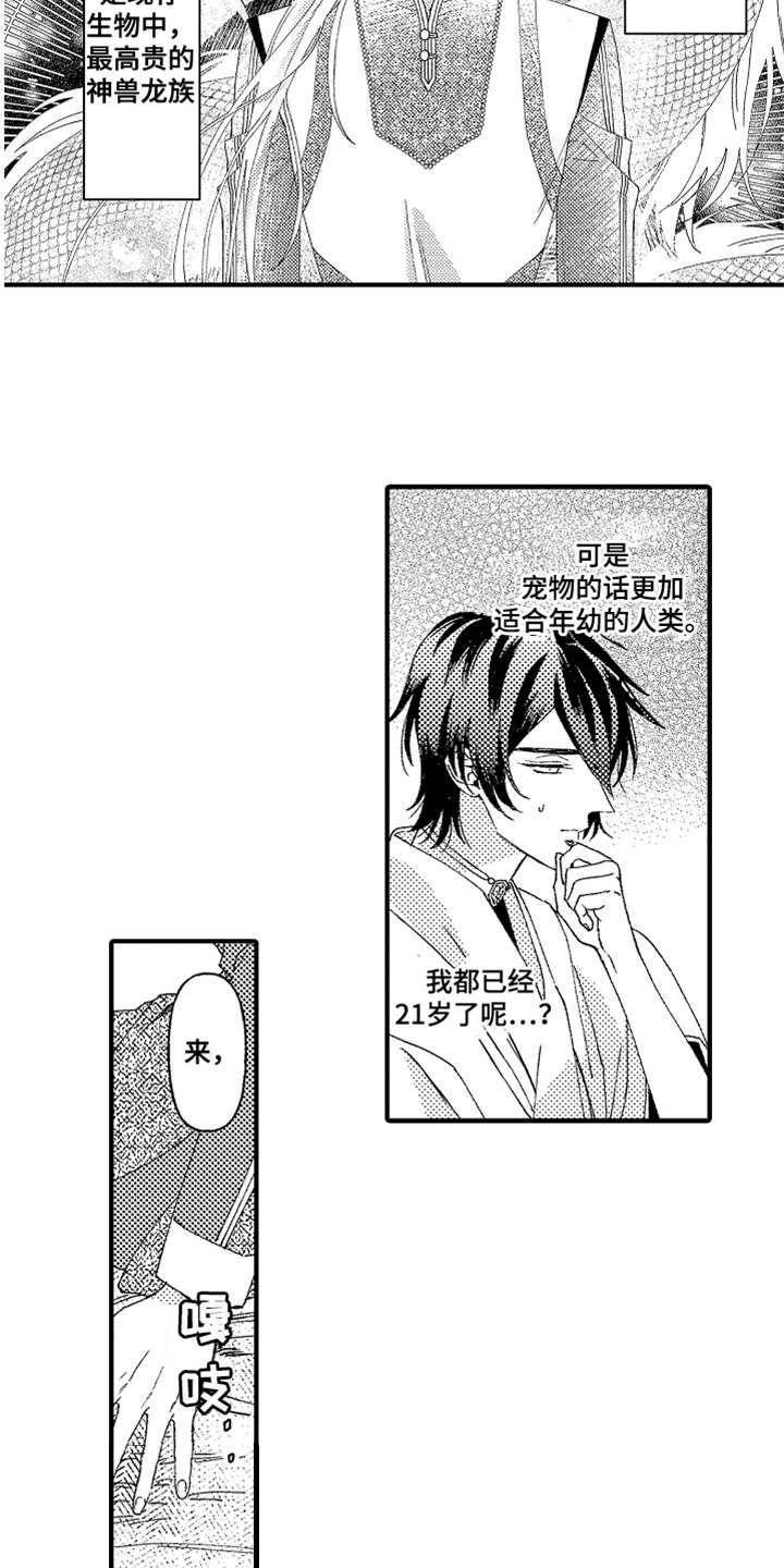 神兽宠儿漫画,第2章：宠物4图