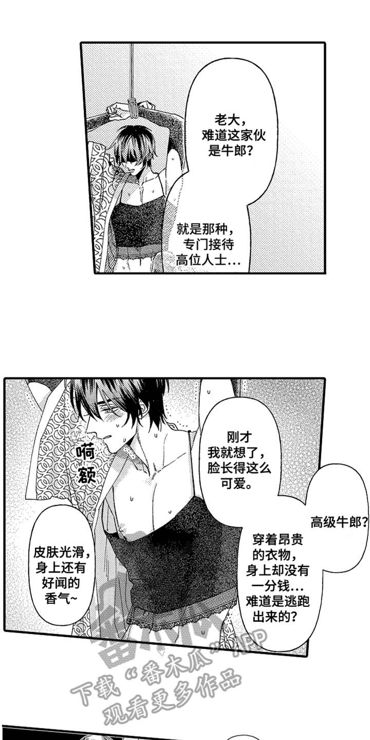 神兽宠儿漫画,第19章：搜寻1图