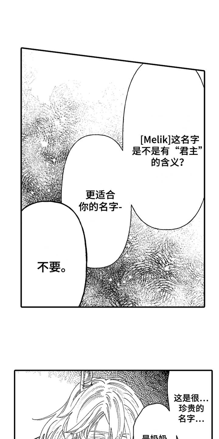 神兽宠儿漫画,第3章：不听话2图