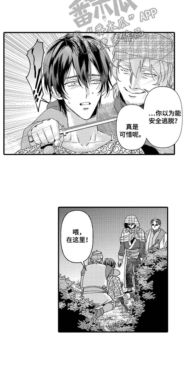 神兽宠儿漫画,第17章：山贼1图