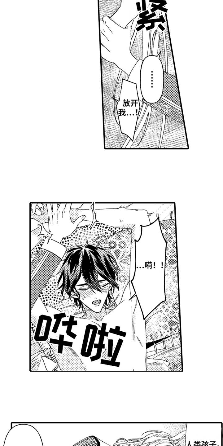 神兽宠儿漫画,第2章：宠物4图