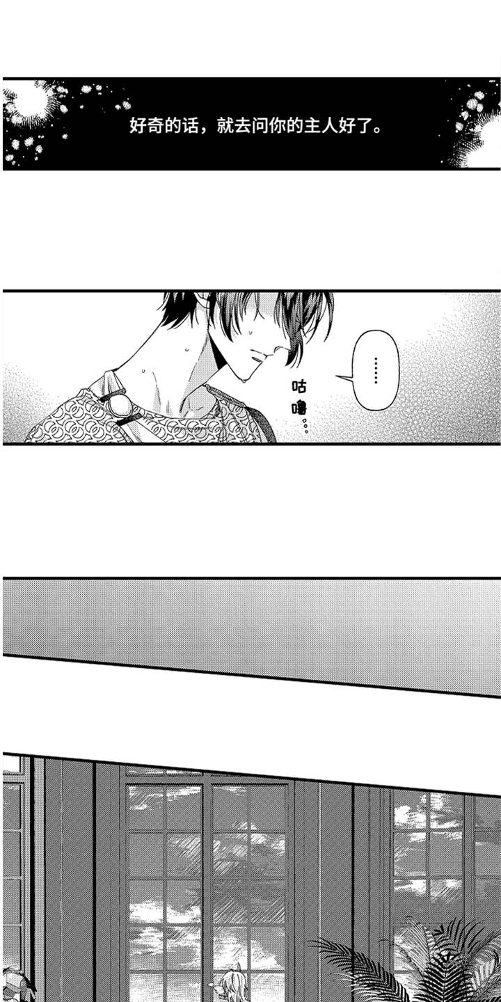 神兽宠儿漫画,第15章：真相1图