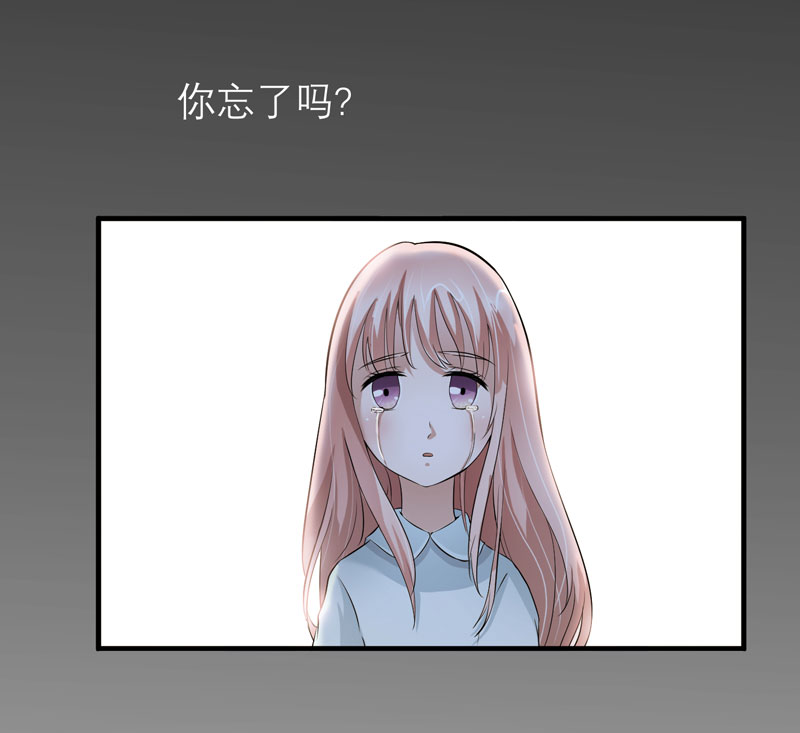 总裁的替嫁新娘漫画,第46章：属于我们的秘密2图