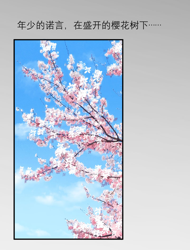 总裁的替嫁新娘漫画,第46章：属于我们的秘密1图