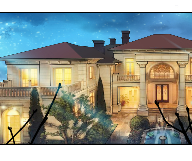 总裁的替嫁新娘泰剧漫画,第112章：别墅的竞标会1图