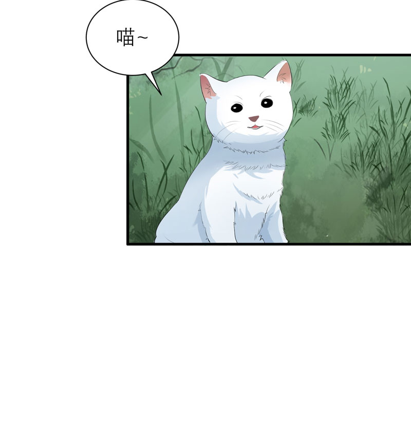 总裁的替嫁新娘漫画,第61章：心凉了还会暖吗1图