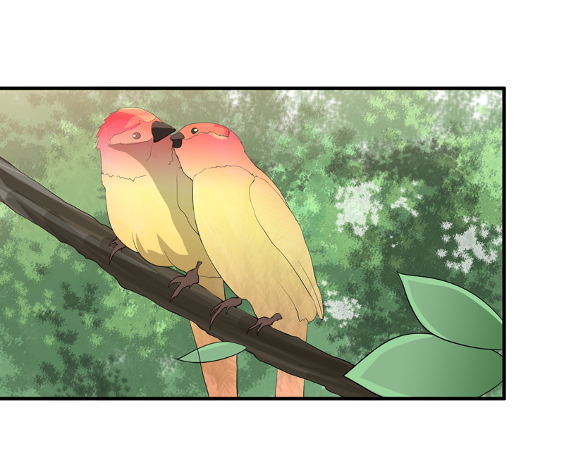 总裁的替嫁新娘漫画,第120章：你配不上她1图