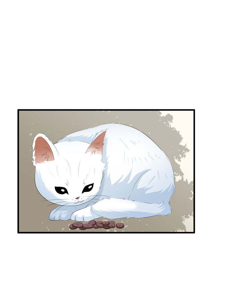 总裁的替嫁新娘泰剧漫画,第53章：跟我联手吧5图