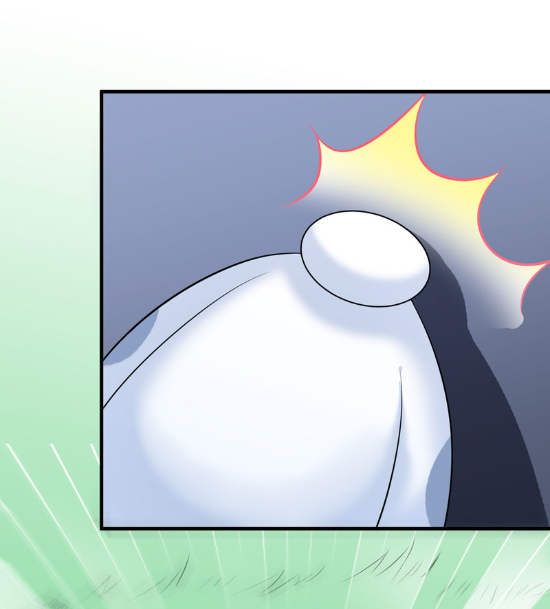 总裁的替嫁新娘动漫全集免费观看漫画,第68章：笑笑失踪了4图