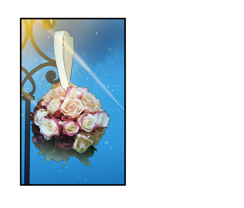 总裁的替嫁新娘动漫全集免费观看漫画,第114章：这是比武招亲吧2图