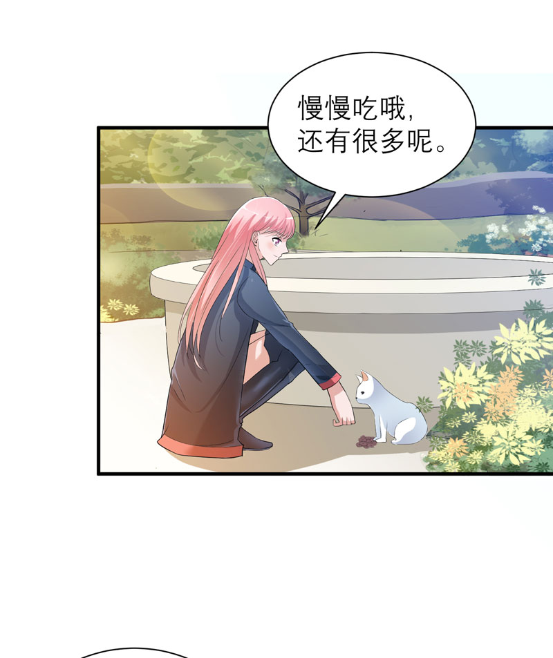 总裁的替嫁新娘沙雕动画漫画,第53章：跟我联手吧1图