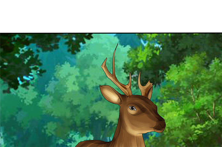 如果从没爱过你漫画,第110章：高估了日本人5图