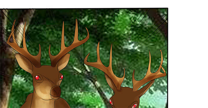 如果从没爱过你漫画,第113章：追的还真快。1图