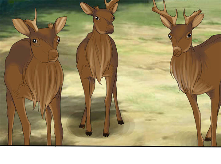 如果从没爱过你漫画,第110章：高估了日本人3图