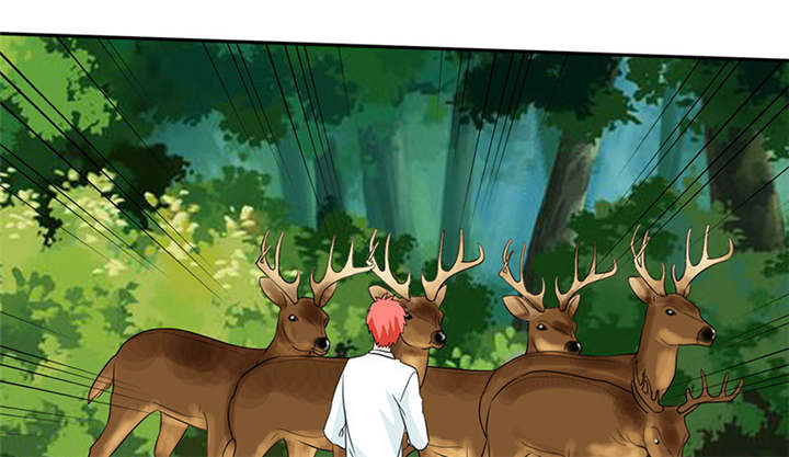 如果从没爱过你漫画,第116章：要回去了1图