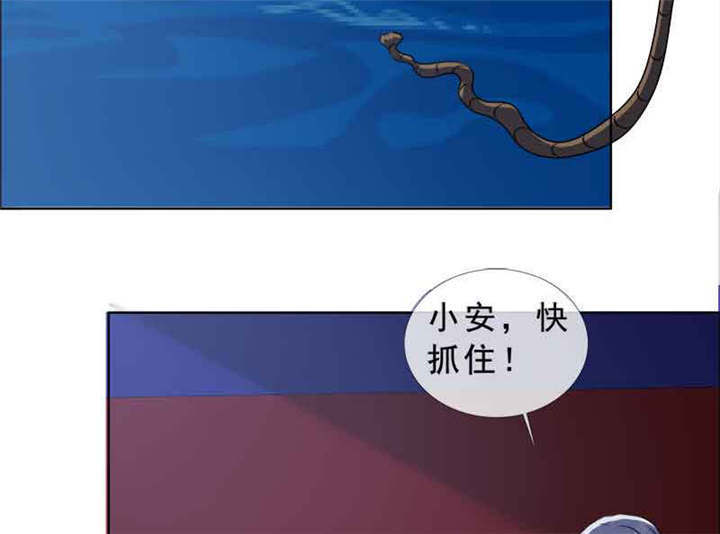 如果从没爱过你漫画,第137章：干掉两个5图