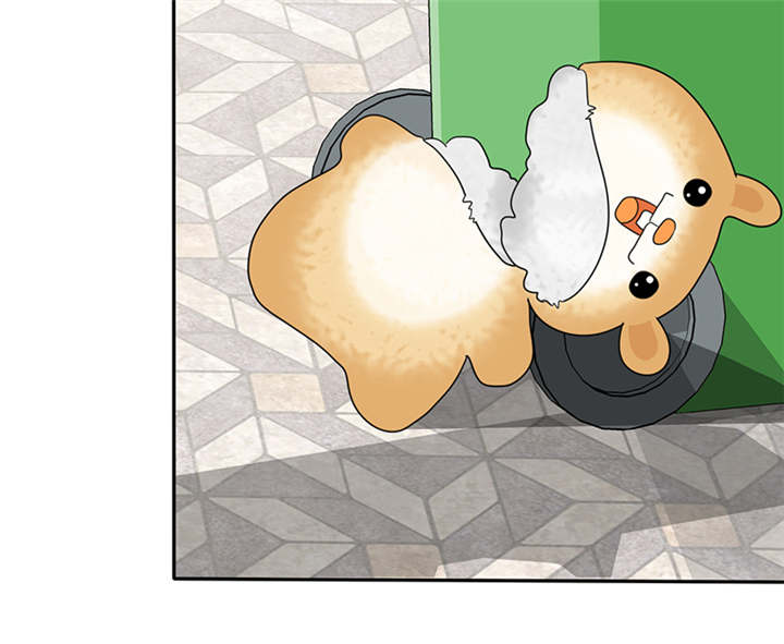 如果从没爱过你漫画,第49章：番外篇2：姐妹记忆4图