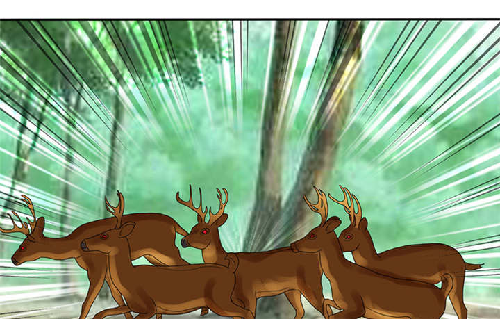 如果从没爱过你漫画,第113章：追的还真快。3图