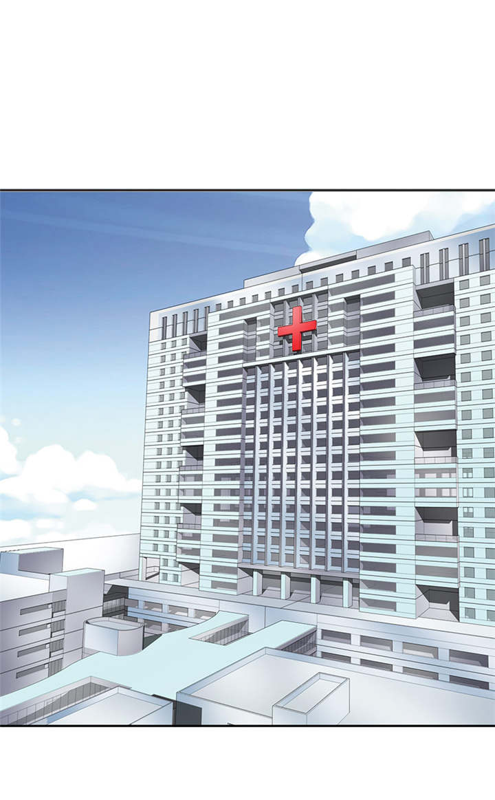 如果从没爱过你漫画,第29章：你怀孕了，3个月5图