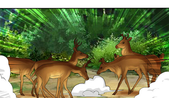 如果从没爱过你漫画,第113章：追的还真快。1图