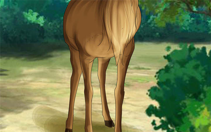 如果从没爱过你漫画,第110章：高估了日本人1图