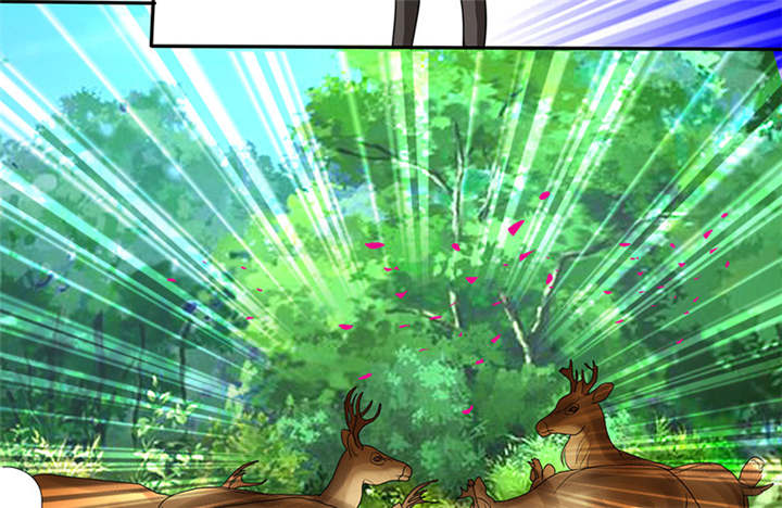 如果从没爱过你漫画,第113章：追的还真快。4图