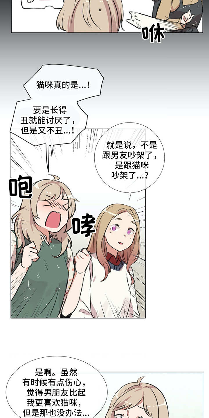 情感咨询师漫画,第18章：猫奴3图