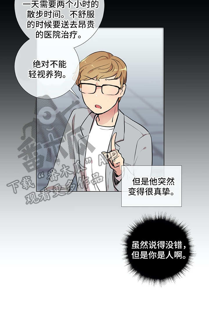 情感咨询师漫画,第15章：狗崽子2图