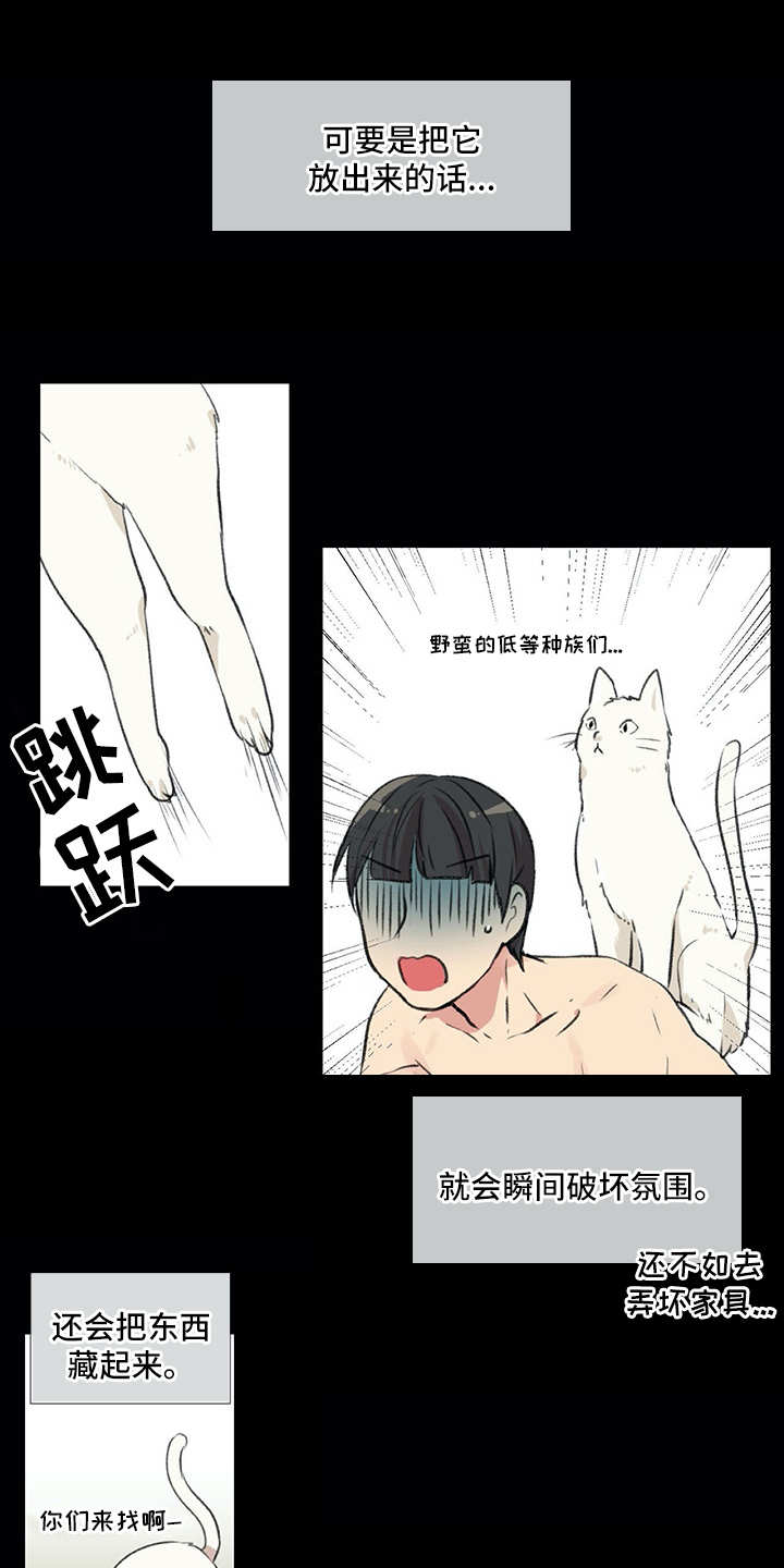 情感咨询师漫画,第18章：猫奴1图