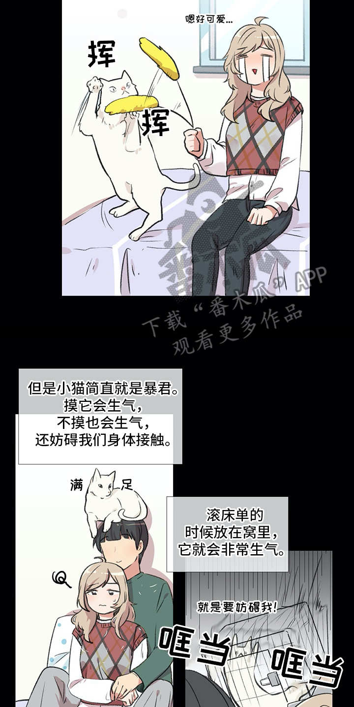 情感咨询师漫画,第18章：猫奴4图